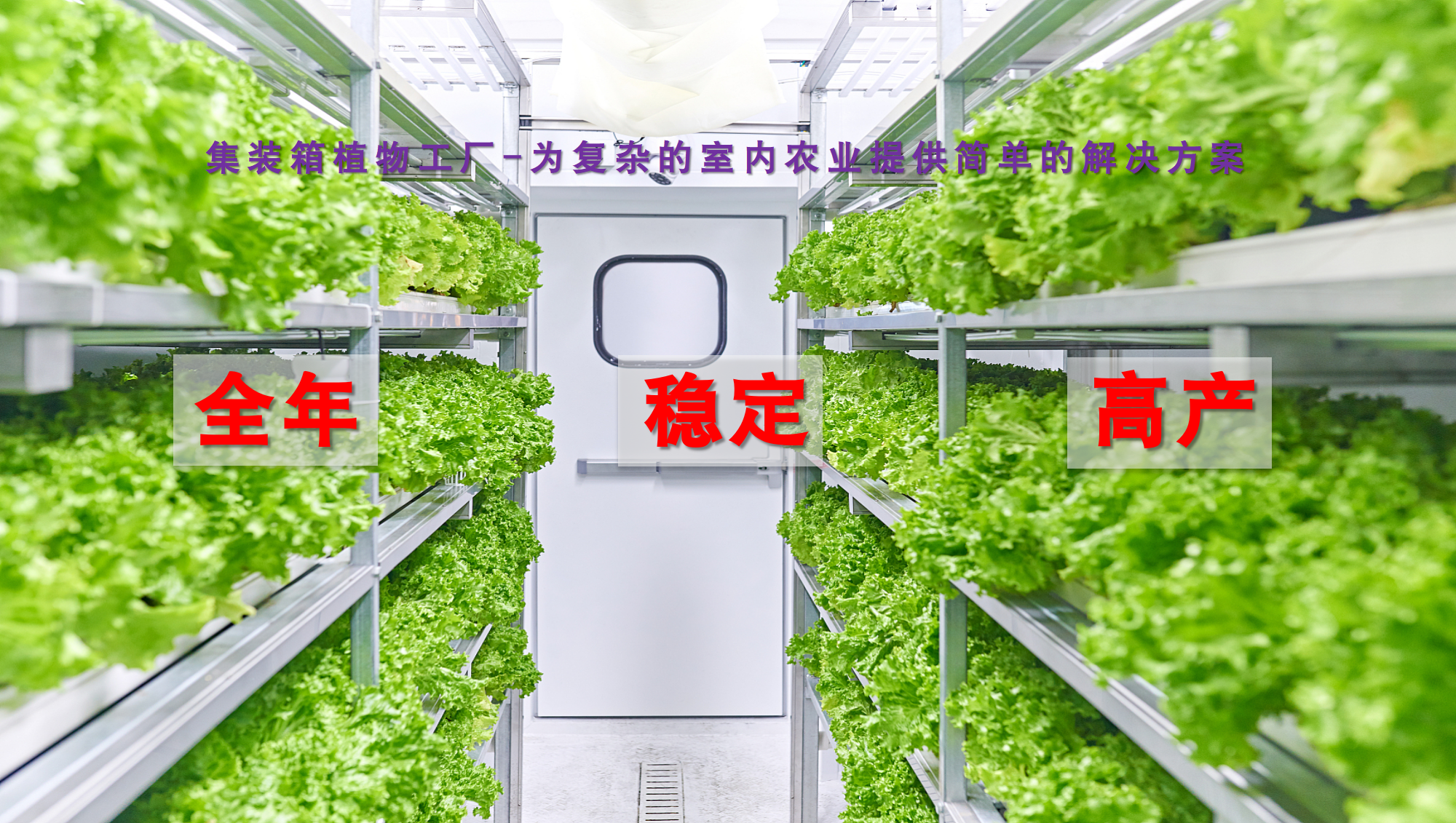 水肥一體化 水肥一體化